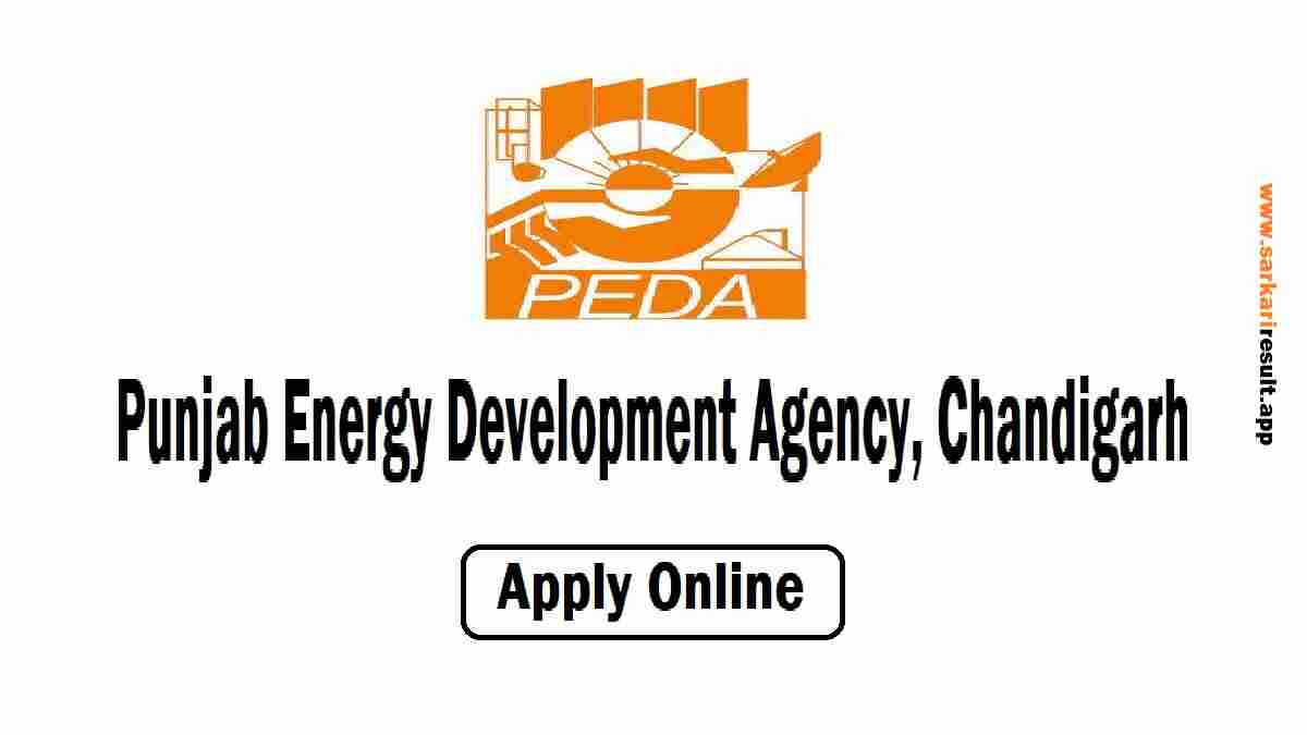 Punjab Energy Development Agency