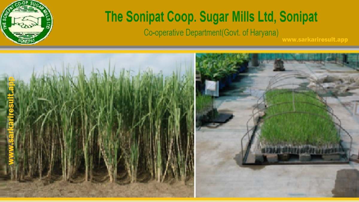 Sonipat Cooperative Sugar Mills Ltd