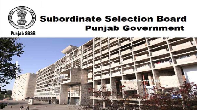 PSSSB Group B Recruitment 2024 Auditor, SDO, Executive Asst 69 Posts