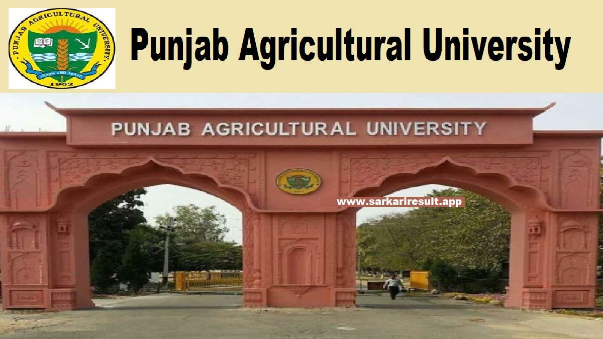 PAU-Punjab Agricultural University